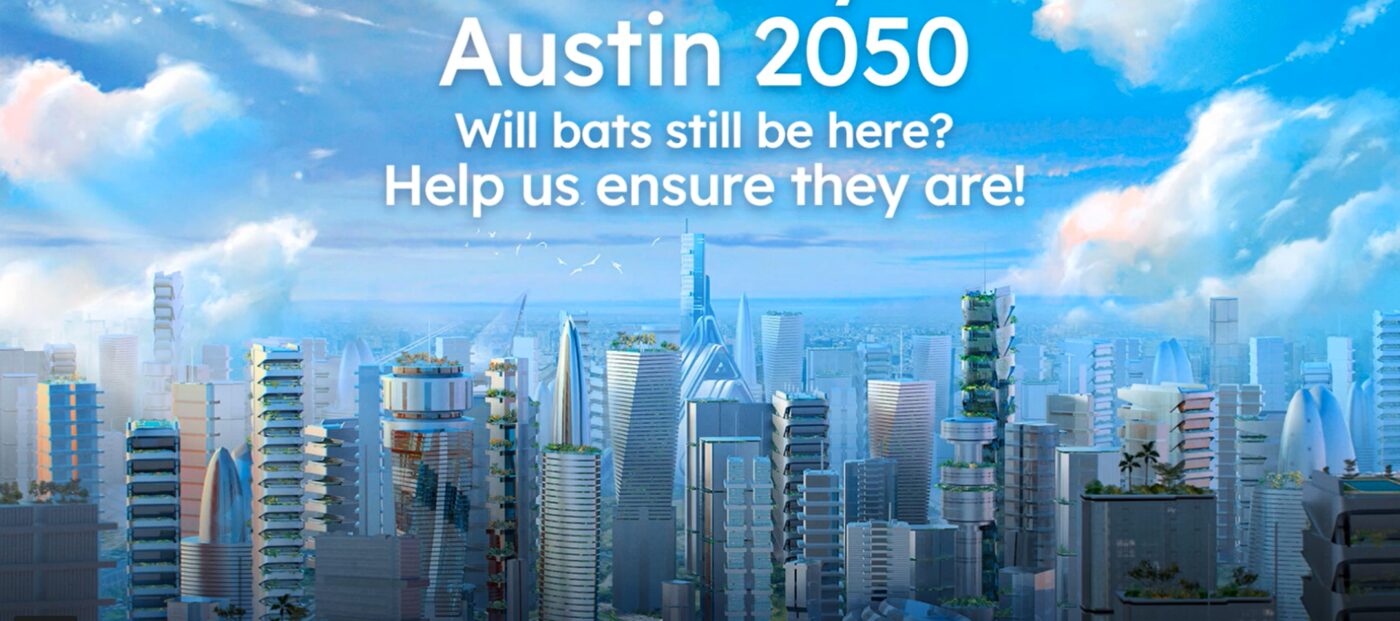 Austin 2050 urban garden vision