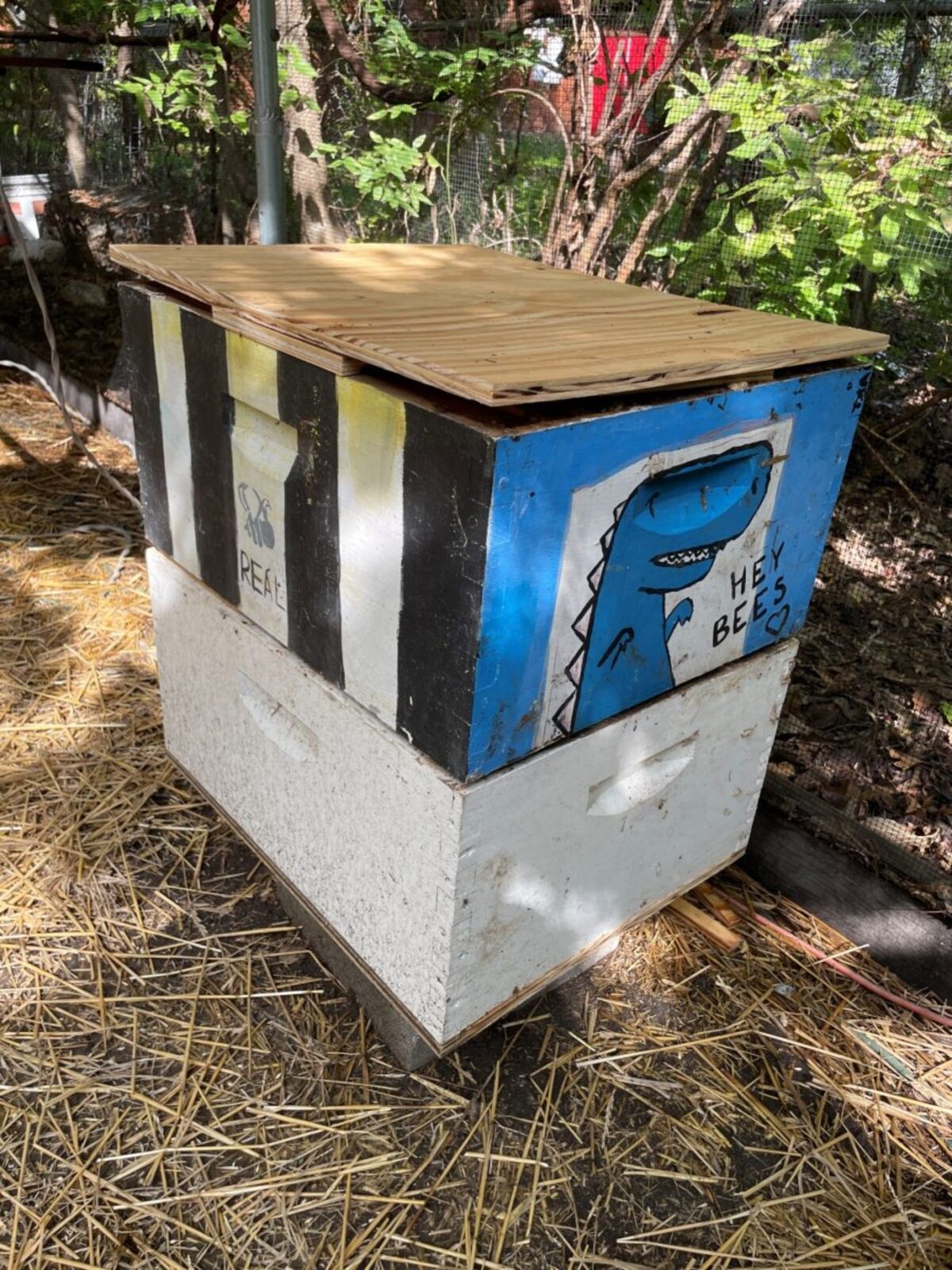Bee boxes at Austin Bat Refuge