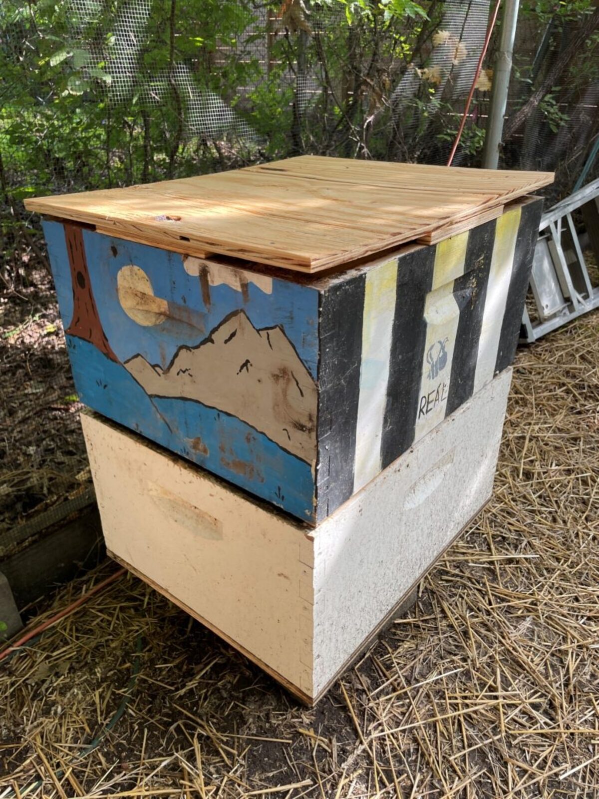 Bee boxes now moth boxes