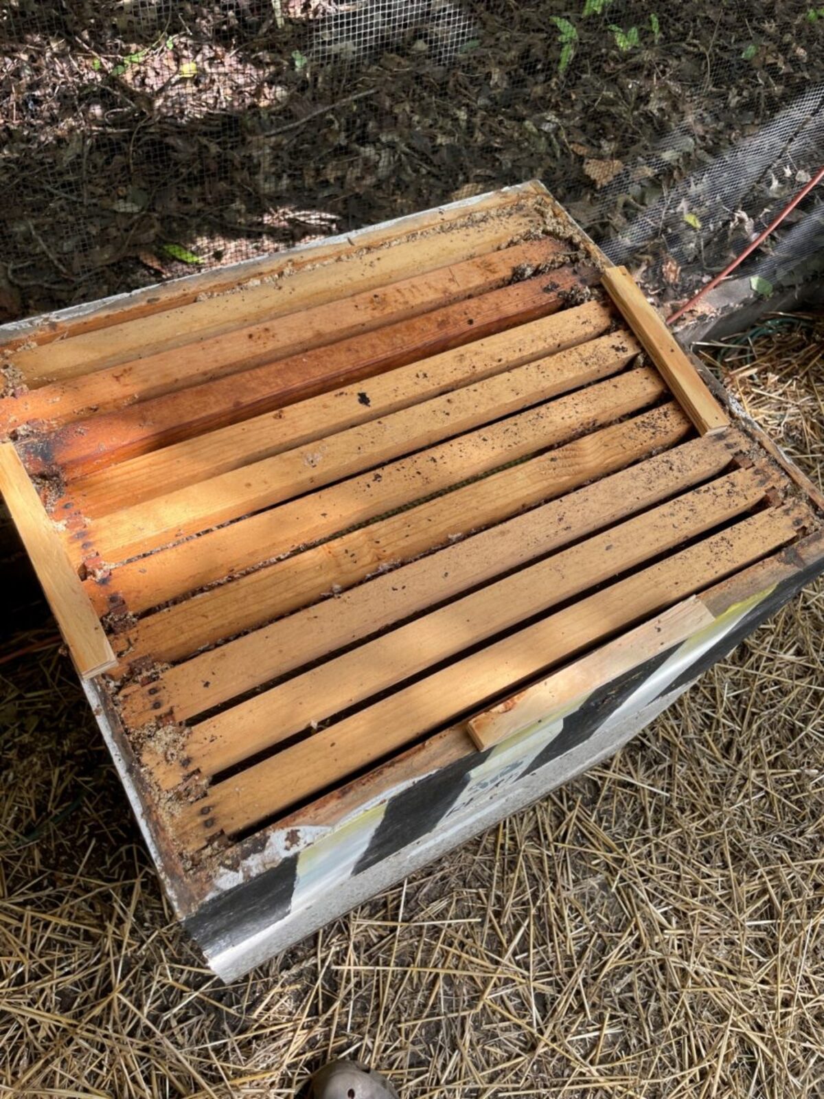Once the bees have left