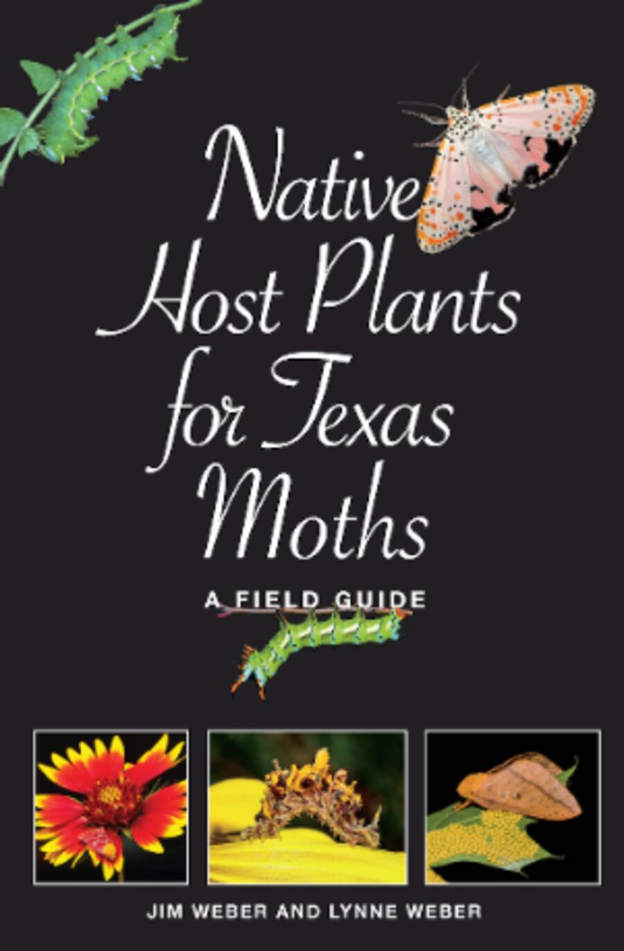 Native Host Plants for Texas Moths - Field Guide by Lynne M. Weber and Jim Weber, Texas A&M Press