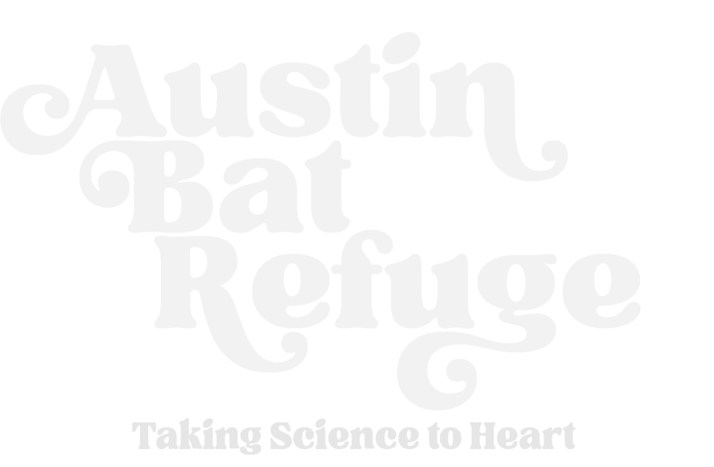 Austin Bat Refuge, Taking Science to Heart